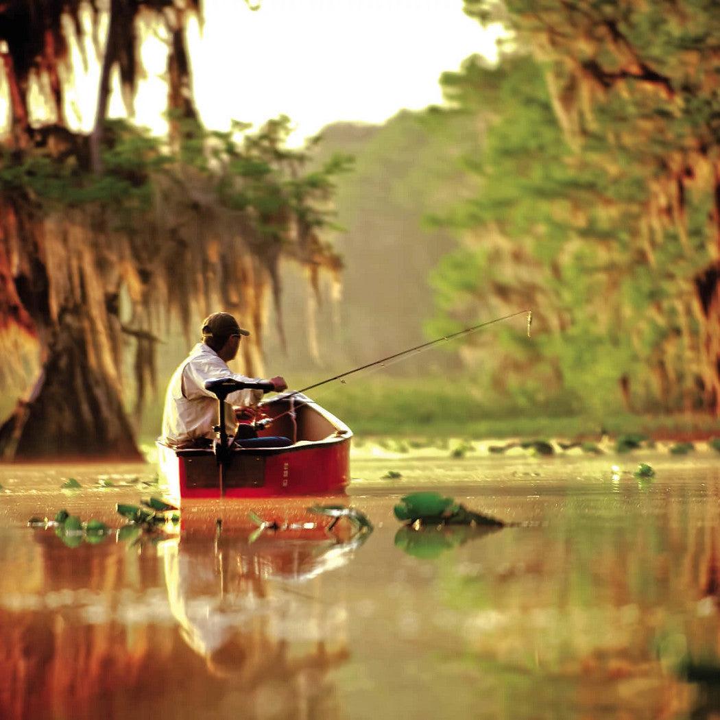 Endura C2 55 max. 540watts