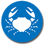 Bouée d'entrainement 15 x 120cm