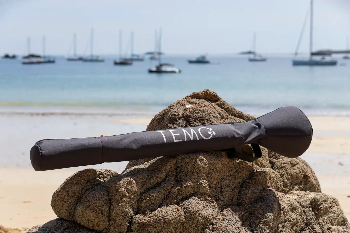 Sac de transport renforcé pour moteur electrique TEMO·450.