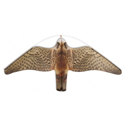 Systeme Anti Mouettes STOPGULL FALCON