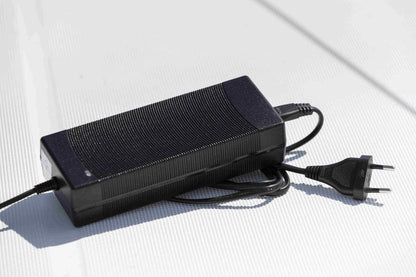 Chargeur 220V de rechange TEMO·450